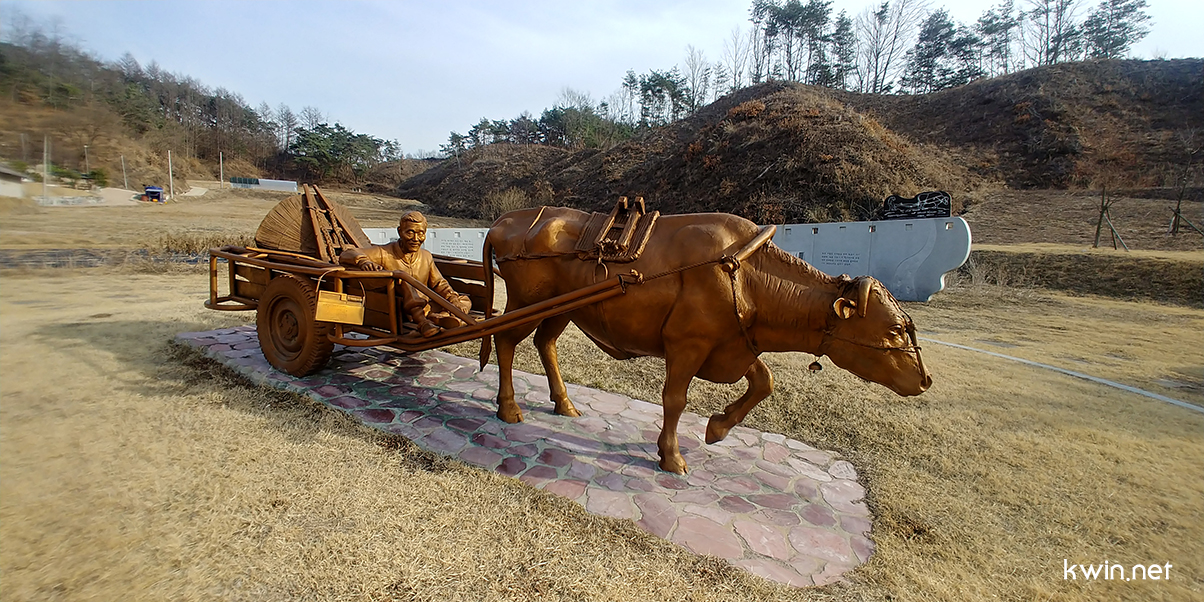20190309_161005_HDR.jpg