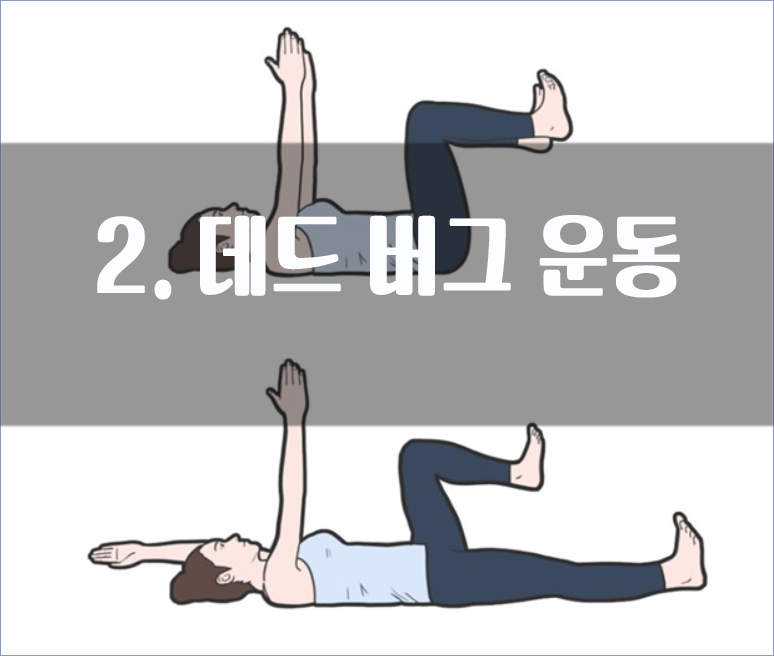 2운동.png